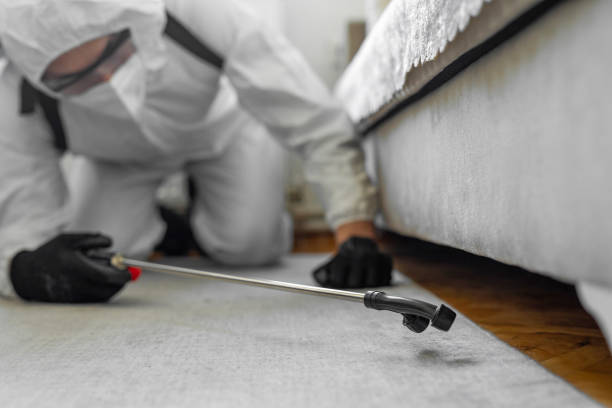 Professional Ant Control technician working in Lucerne Valley, CA